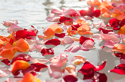 Red, pink and orange petals floating on water.